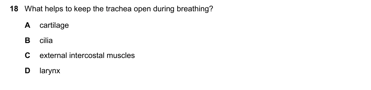 Question 18, March 2025, 0610 Paper 22