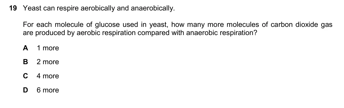 Question 19, March 2025, 0610 Paper 22