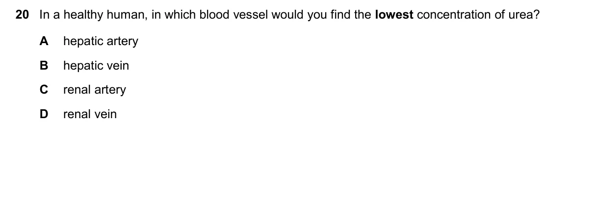 Question 20, March 2025, 0610 Paper 22