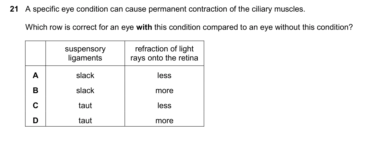 Question 21, March 2025, 0610 Paper 22