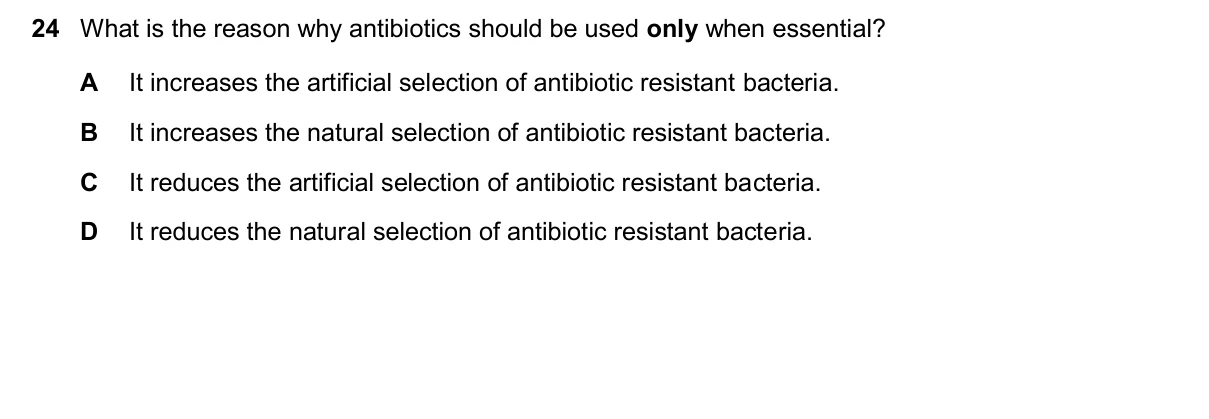 Question 24, March 2025, 0610 Paper 22