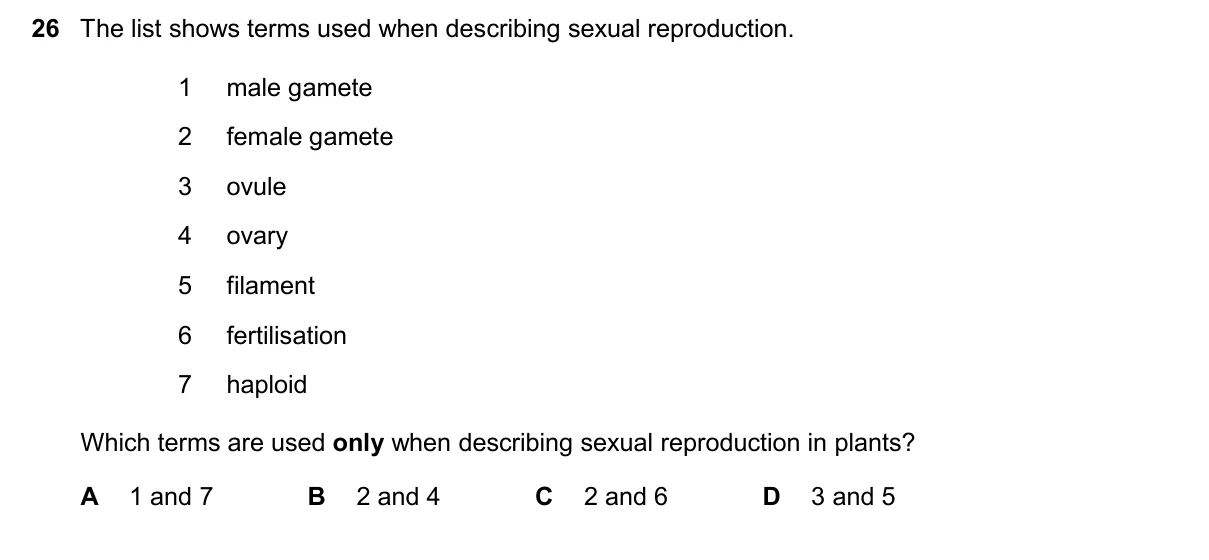 Question 26, March 2025, 0610 Paper 22