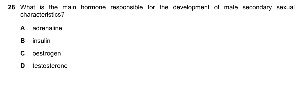 Question 28, March 2025, 0610 Paper 22