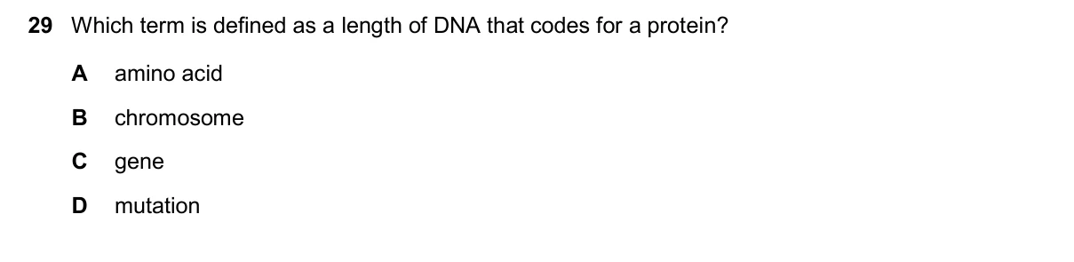 Question 29, March 2025, 0610 Paper 22