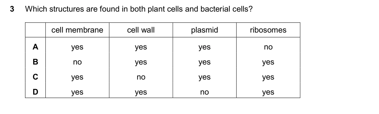 Question 3, March 2025, 0610 Paper 22