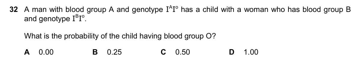 Question 32, March 2025, 0610 Paper 22