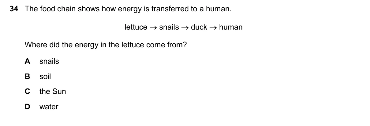 Question 34, March 2025, 0610 Paper 22