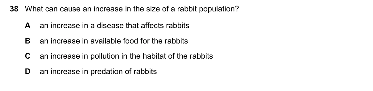 Question 38, March 2025, 0610 Paper 22