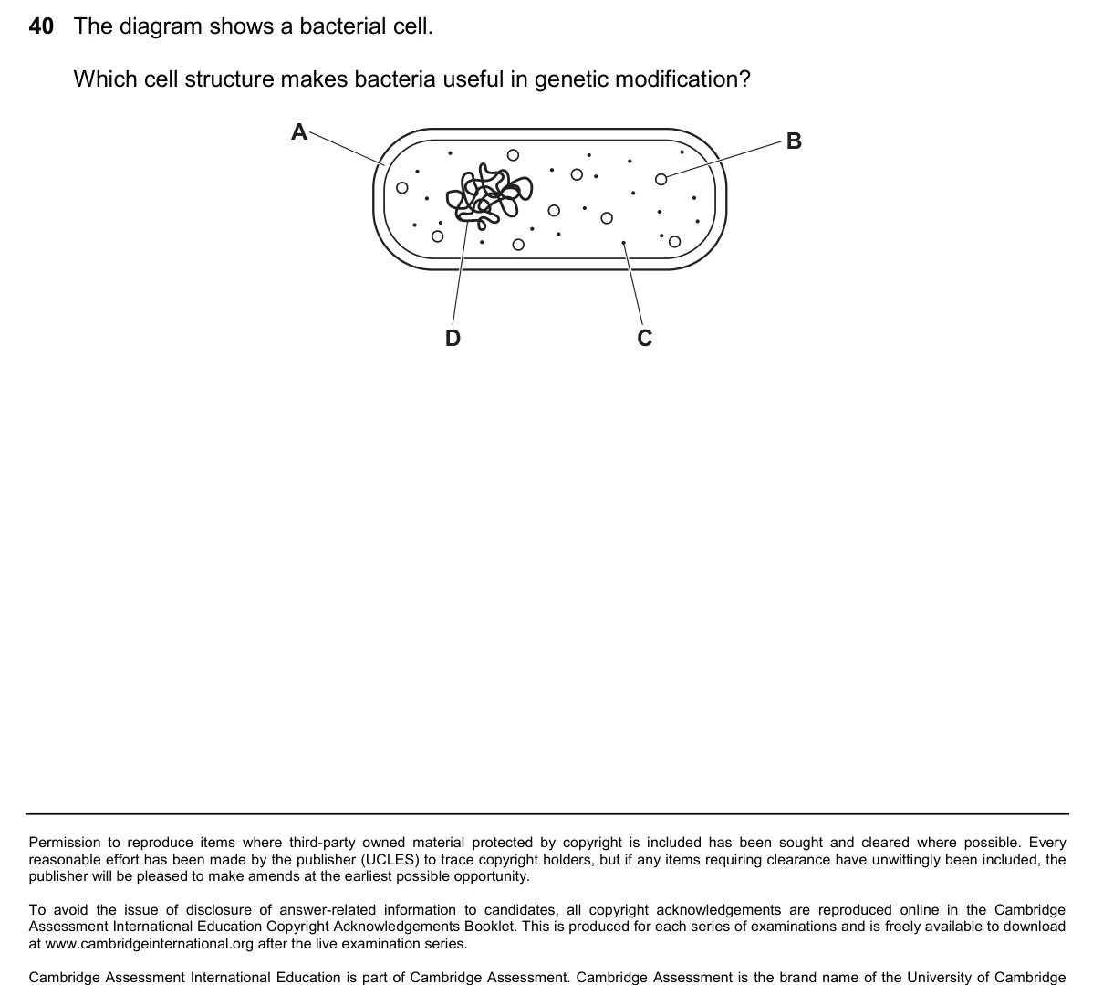 Question 40, March 2025, 0610 Paper 22