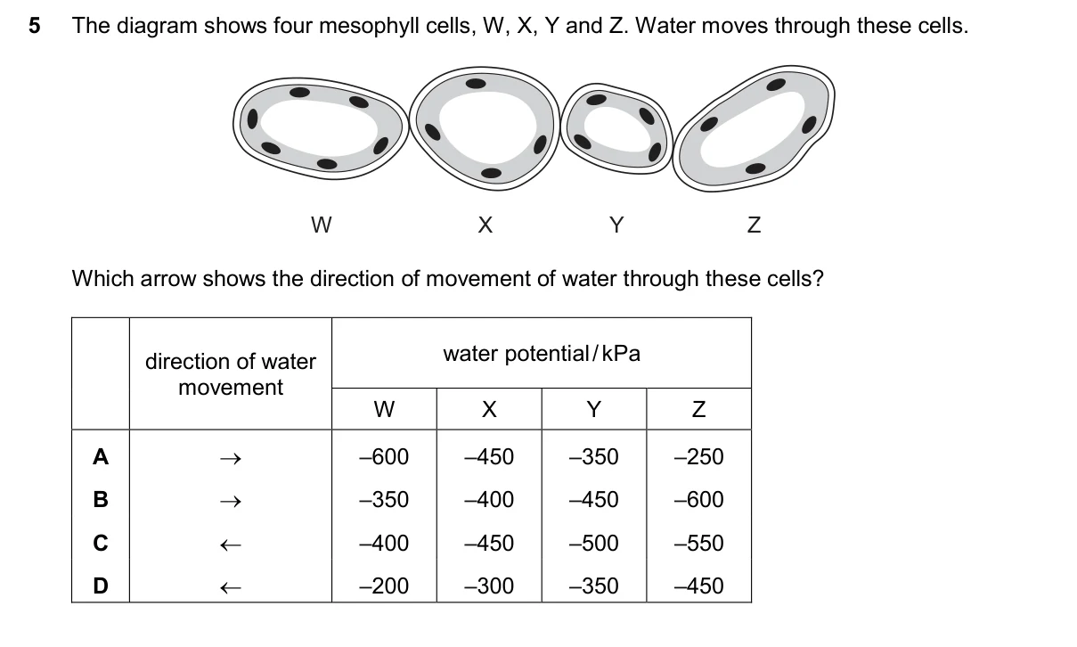 Question 5, March 2025, 0610 Paper 22