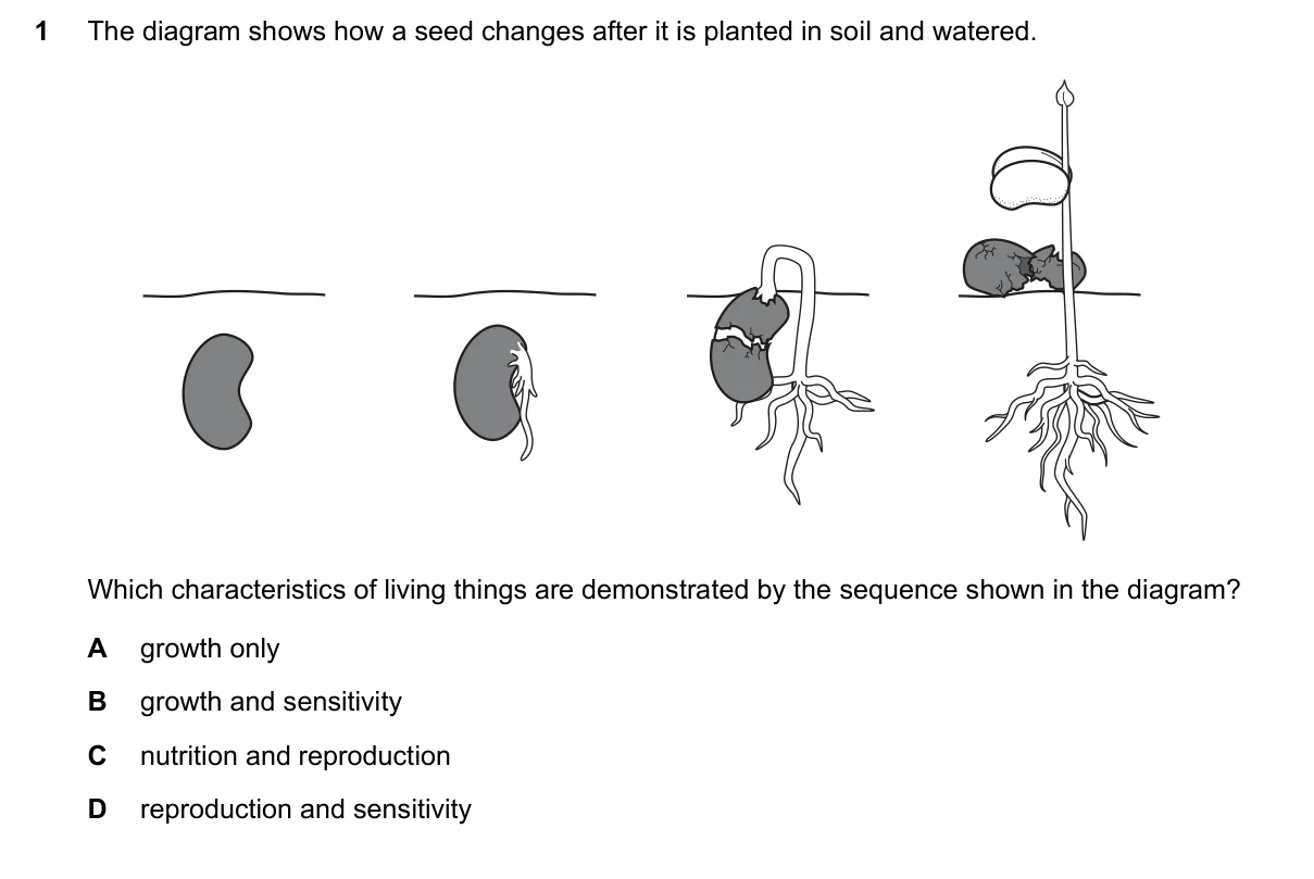 Question 1, June 2025, 0610 Paper 11