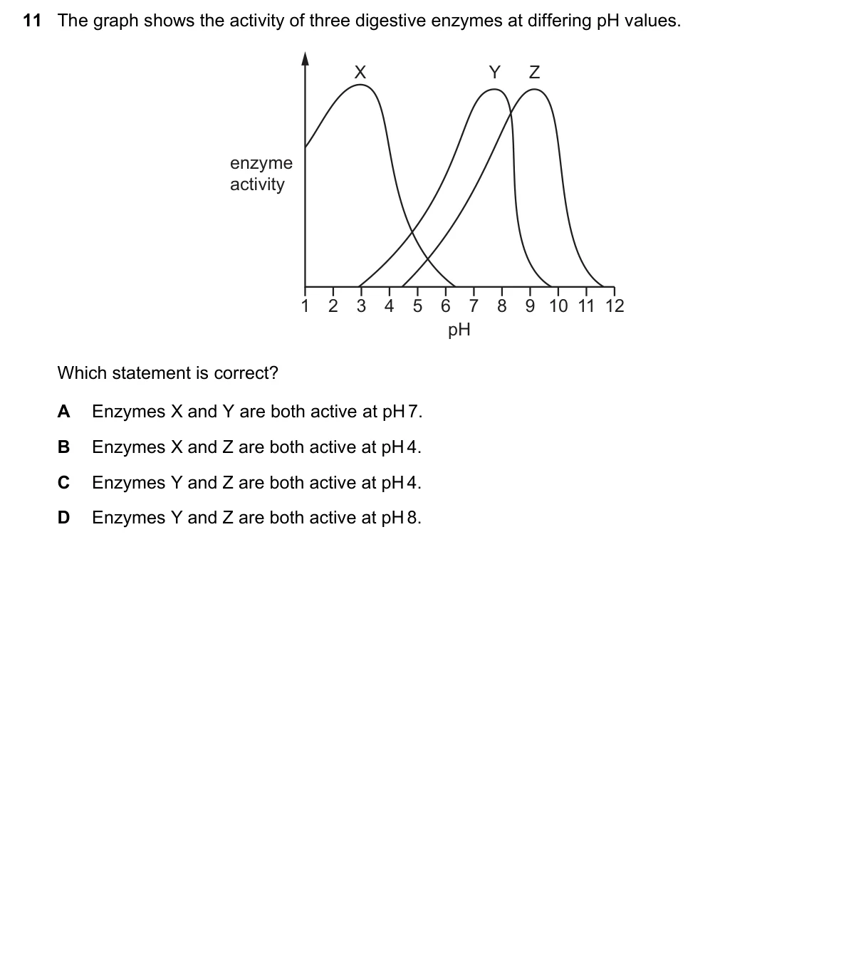Question 11, June 2025, 0610 Paper 11
