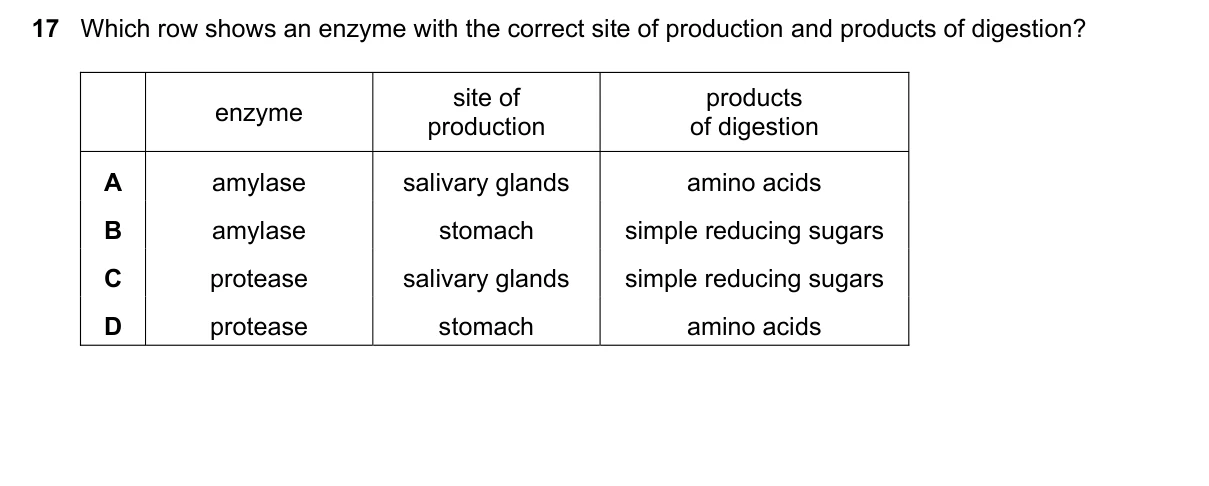 Question 17, June 2025, 0610 Paper 11