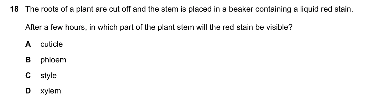 Question 18, June 2025, 0610 Paper 11