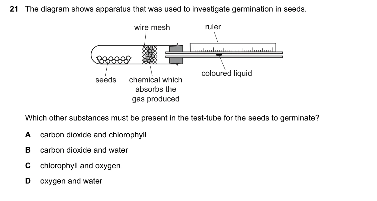 Question 21, June 2025, 0610 Paper 11