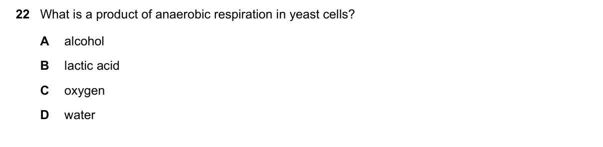 Question 22, June 2025, 0610 Paper 11