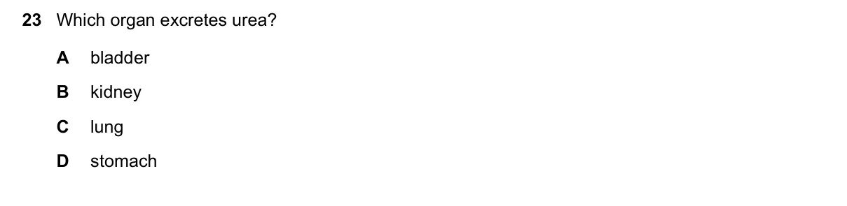 Question 23, June 2025, 0610 Paper 11