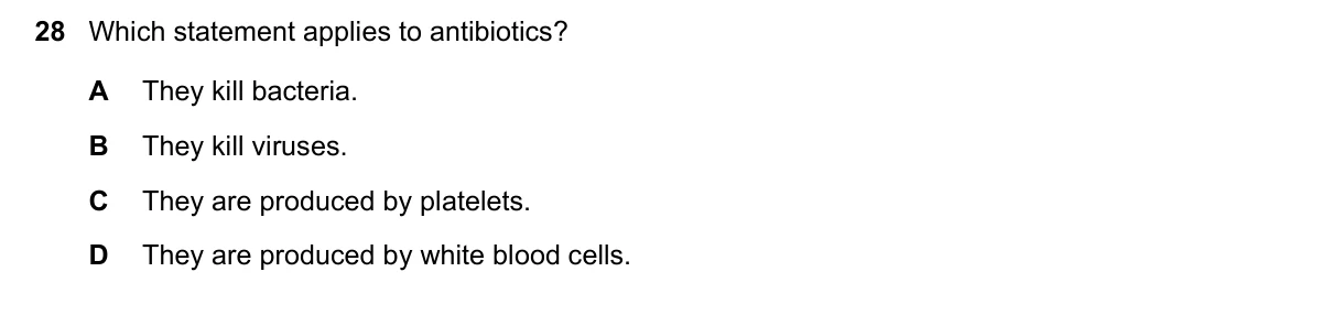 Question 28, June 2025, 0610 Paper 11