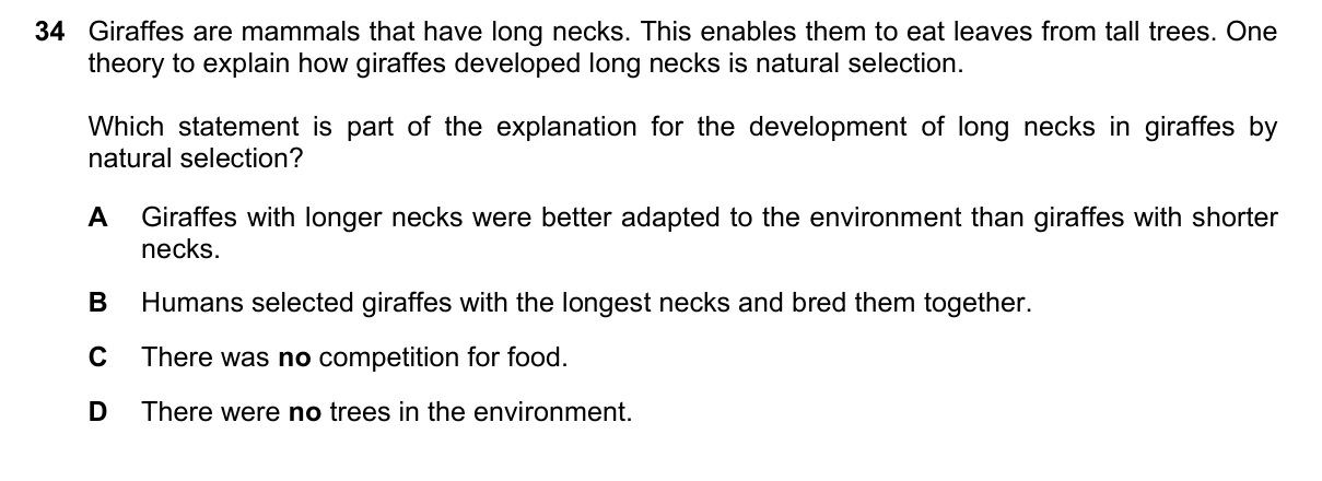 Question 34, June 2025, 0610 Paper 11