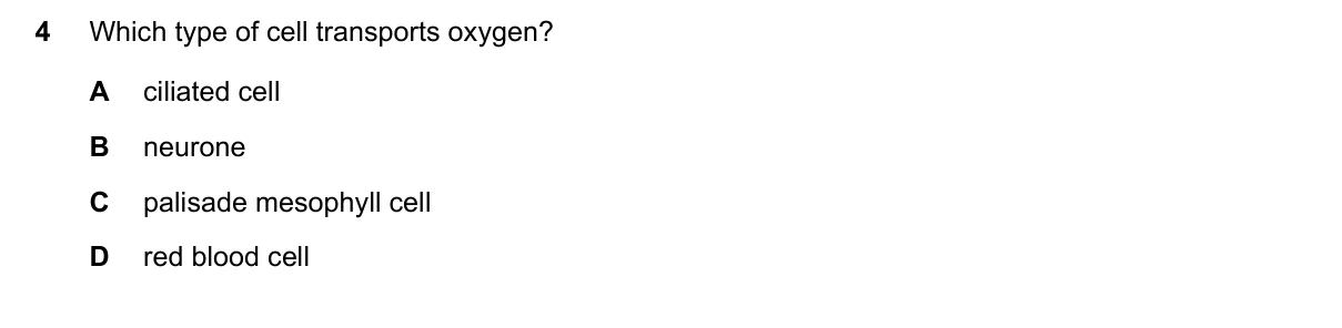 Question 4, June 2025, 0610 Paper 11