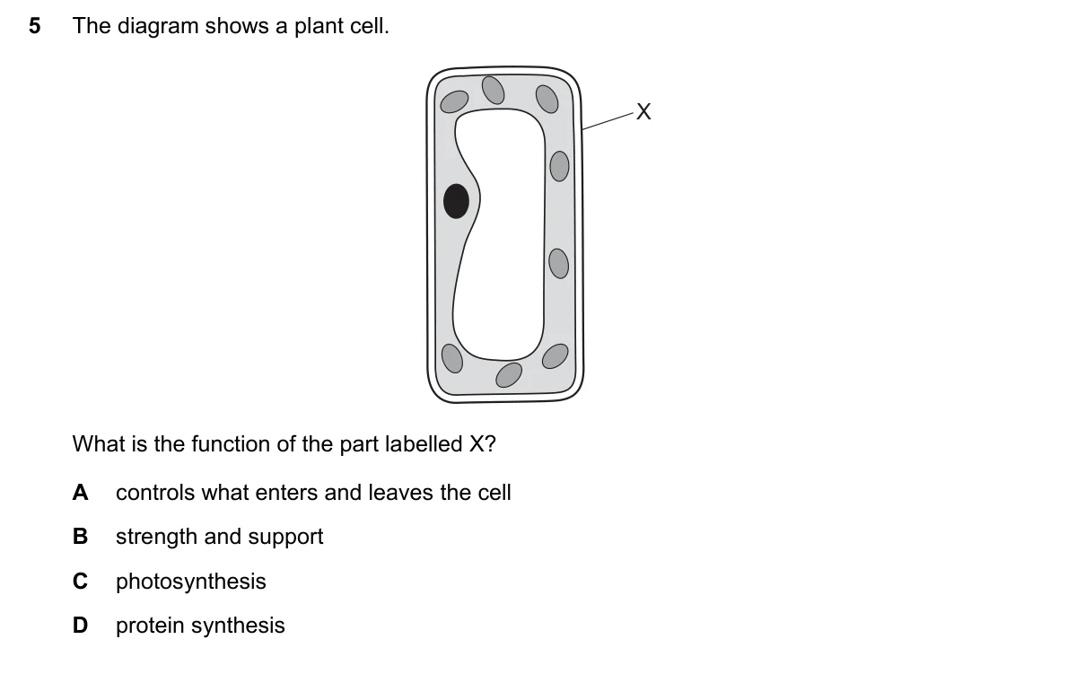 Question 5, June 2025, 0610 Paper 11