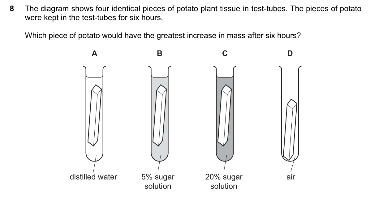 Question 8, June 2025, 0610 Paper 11