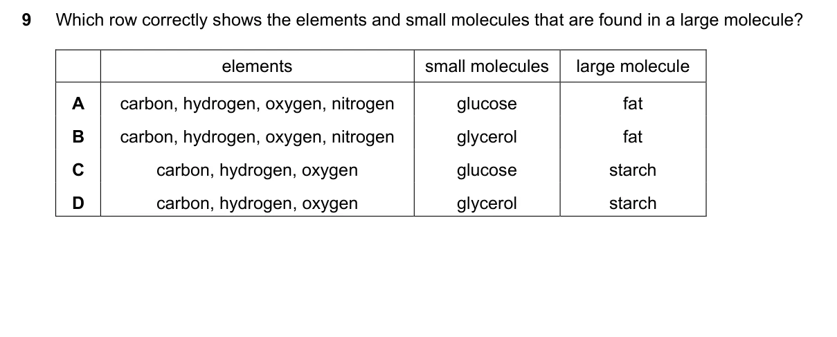 Question 9, June 2025, 0610 Paper 11