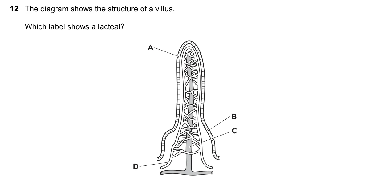 Question 12, June 2025, 0610 Paper 21