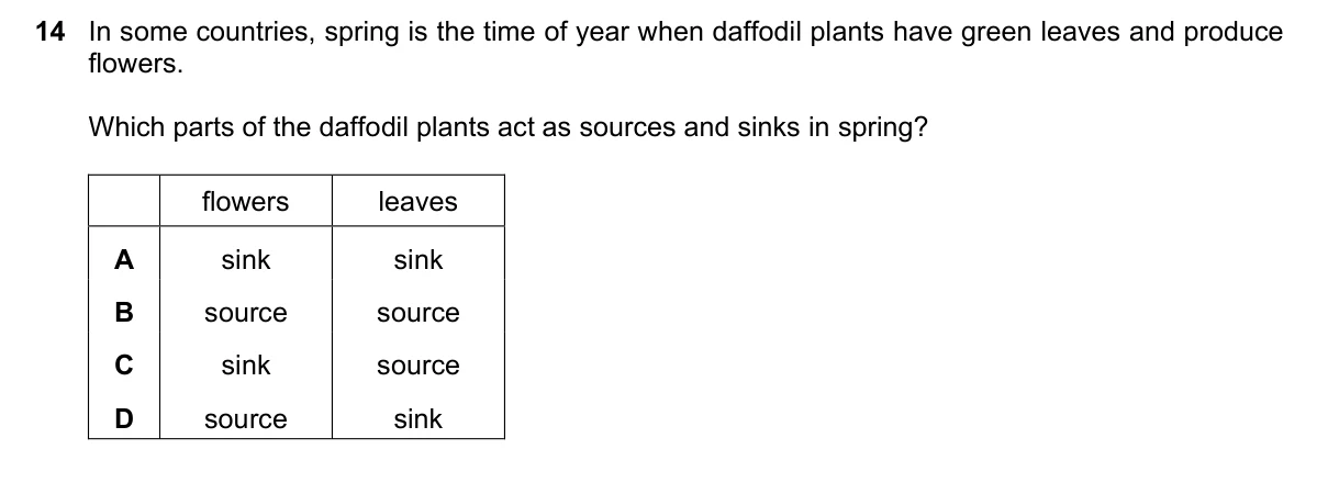 Question 14, June 2025, 0610 Paper 21