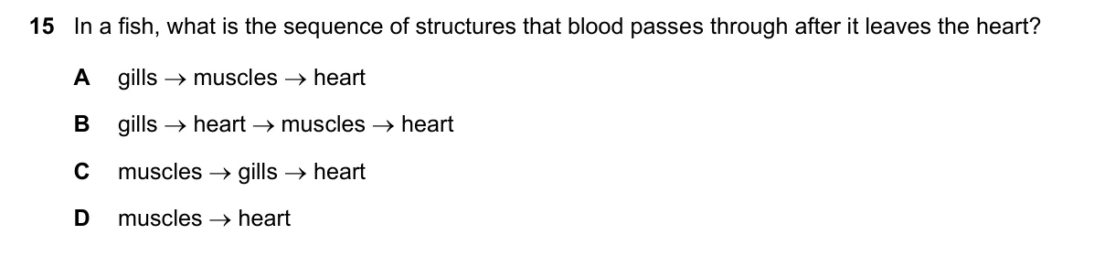 Question 15, June 2025, 0610 Paper 21