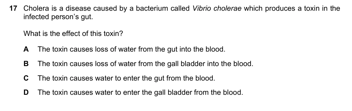 Question 17, June 2025, 0610 Paper 21