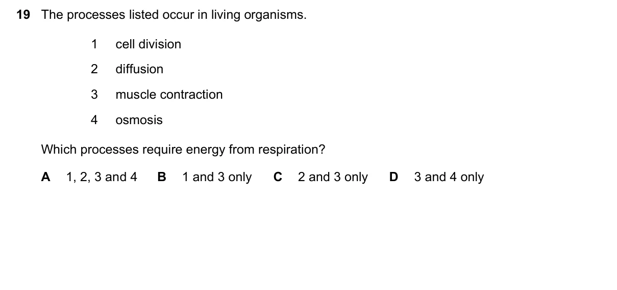 Question 19, June 2025, 0610 Paper 21