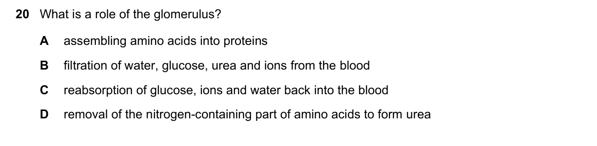 Question 20, June 2025, 0610 Paper 21