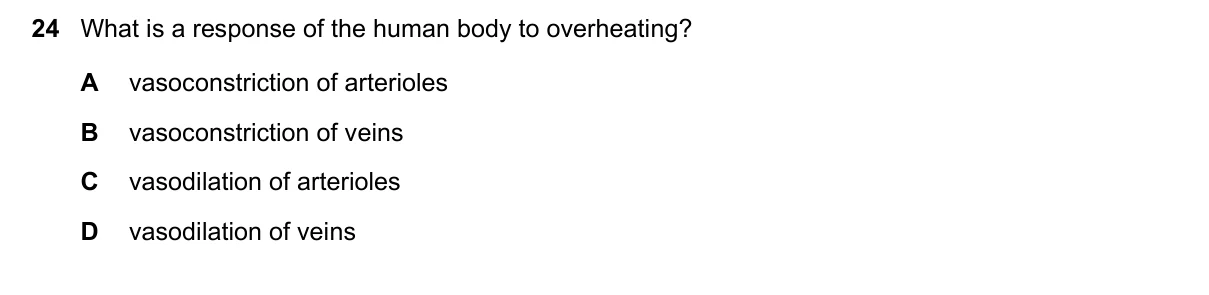 Question 24, June 2025, 0610 Paper 21