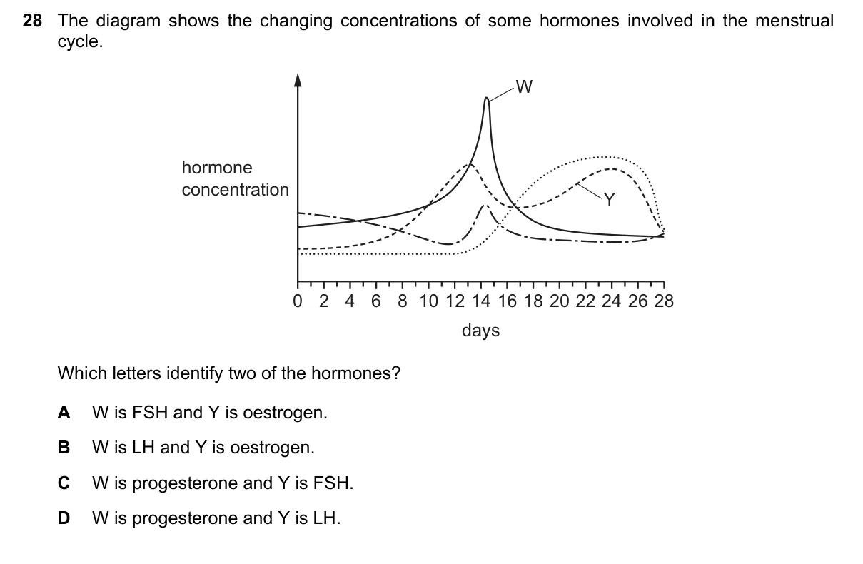 Question 28, June 2025, 0610 Paper 21