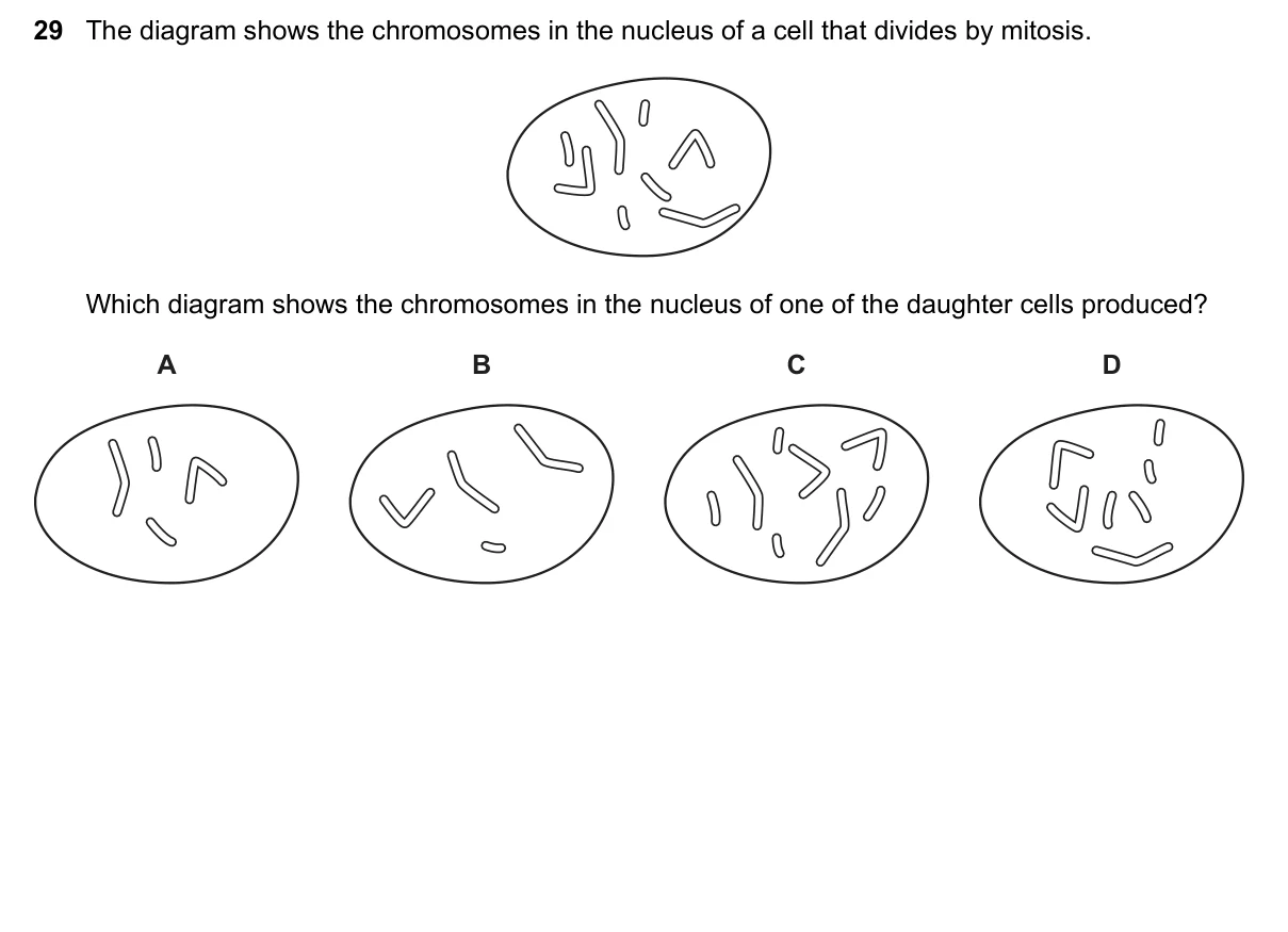 Question 29, June 2025, 0610 Paper 21