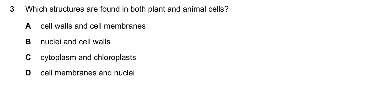 Question 3, June 2025, 0610 Paper 21