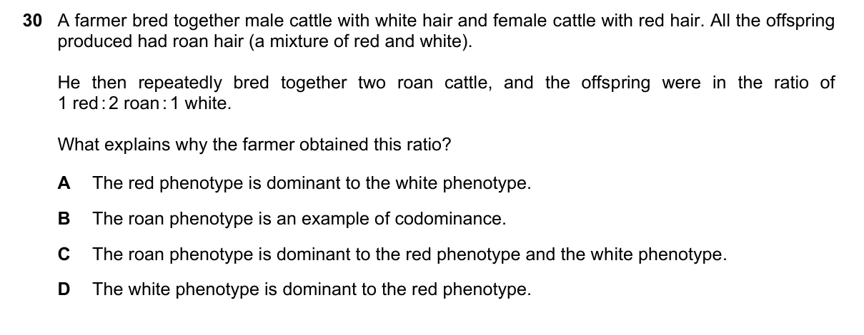 Question 30, June 2025, 0610 Paper 21