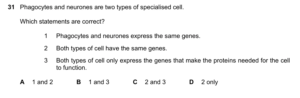 Question 31, June 2025, 0610 Paper 21