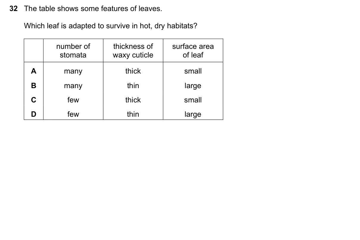 Question 32, June 2025, 0610 Paper 21