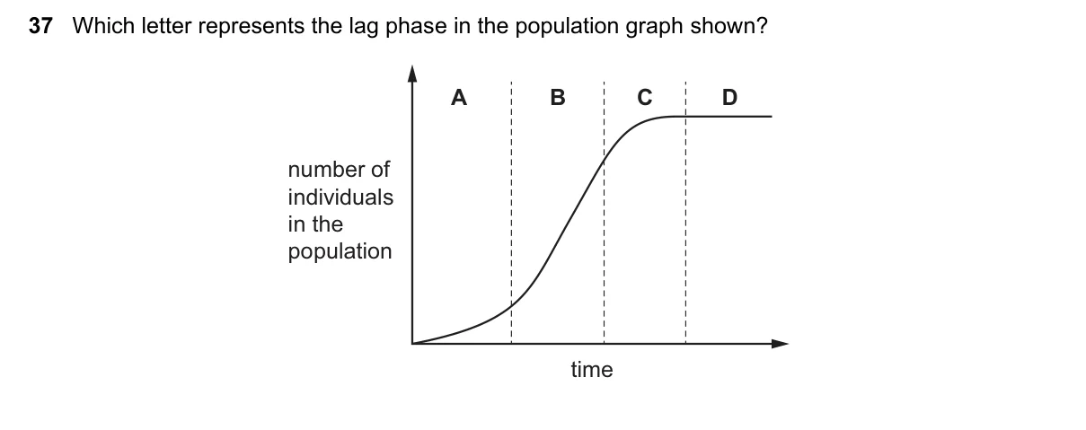 Question 37, June 2025, 0610 Paper 21