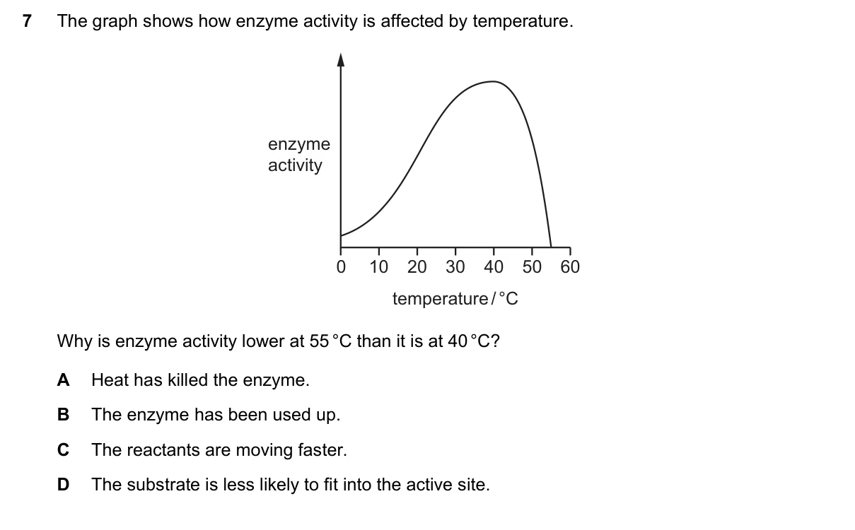 Question 7, June 2025, 0610 Paper 21