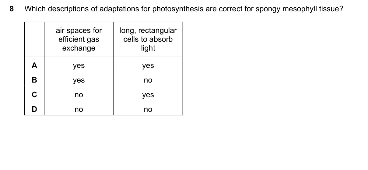 Question 8, June 2025, 0610 Paper 21