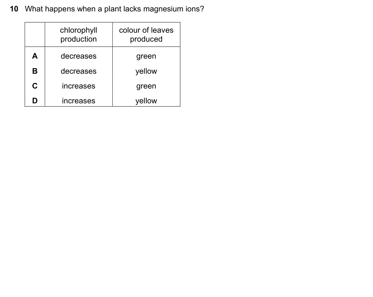 Question 10, June 2025, 0610 Paper 12