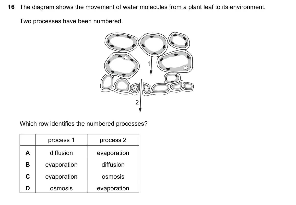Question 16, June 2025, 0610 Paper 12