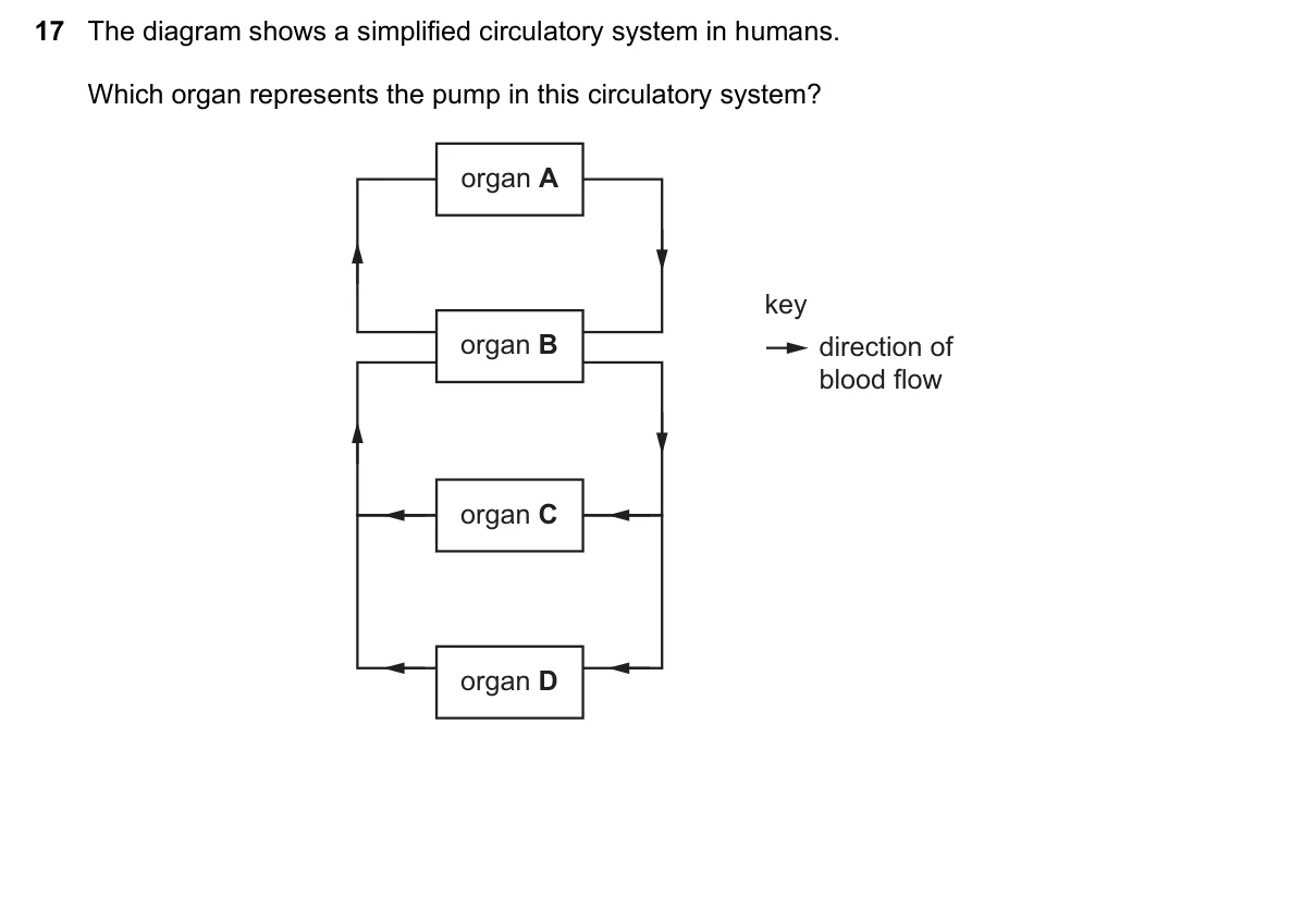 Question 17, June 2025, 0610 Paper 12