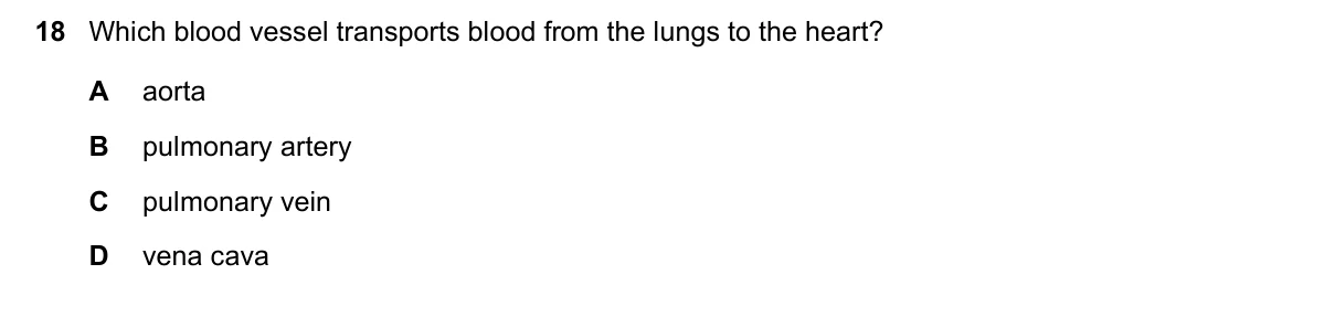 Question 18, June 2025, 0610 Paper 12