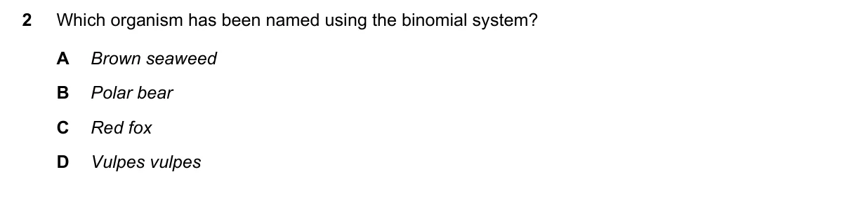 Question 2, June 2025, 0610 Paper 12