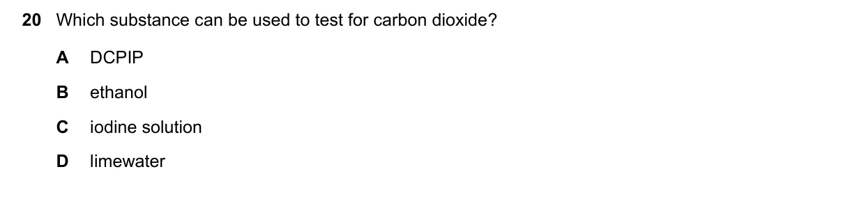 Question 20, June 2025, 0610 Paper 12