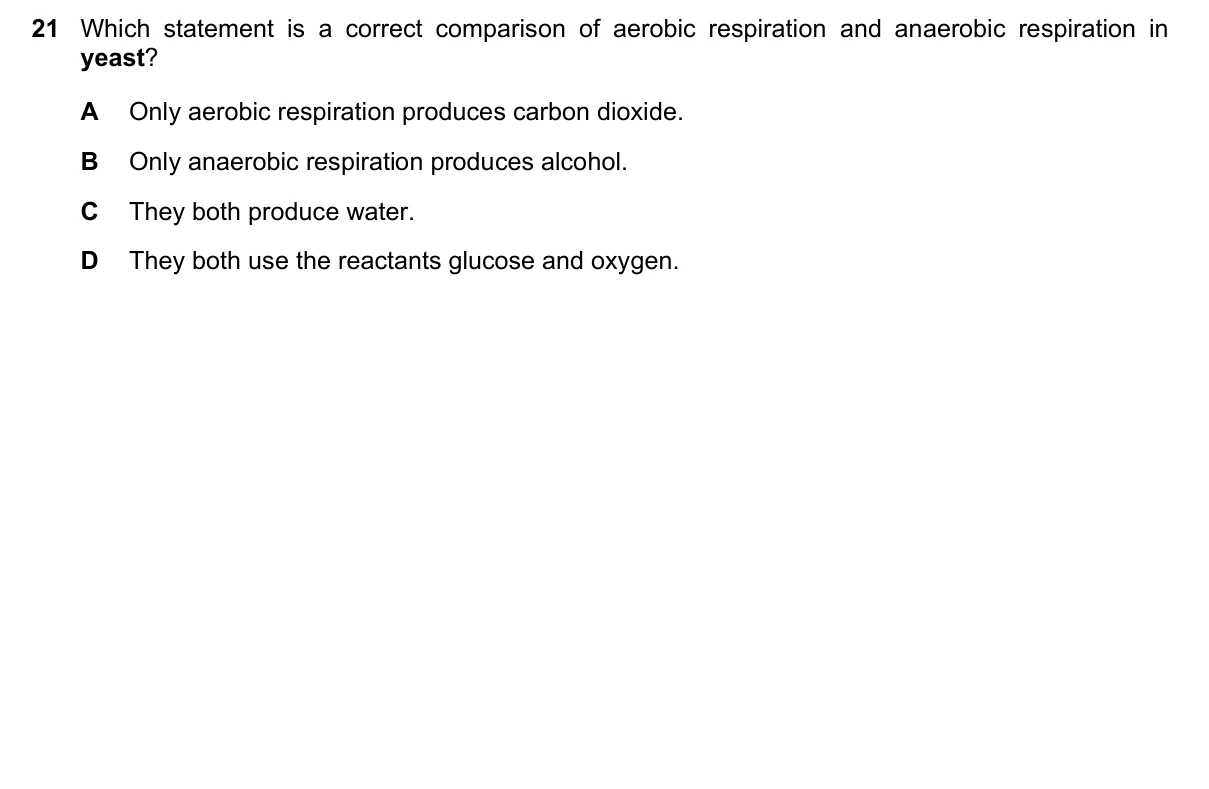Question 21, June 2025, 0610 Paper 12